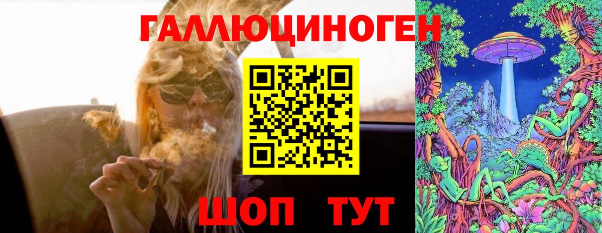 Псилоцибиновые грибы Psilocybine cubensis Торжок