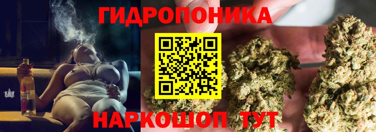 Бошки Шишки планчик Торжок